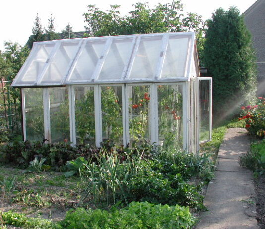 AKTIVIZAM U PRNJAVORU: Plastenici, poljoprivredne mašine i čišćenje kovid bolnice