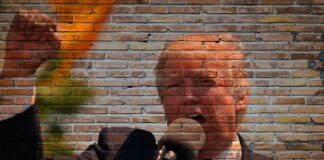 Photo: TheDigitalArtist /Pixabay