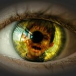 KAD ODRASLI OKRENU GLAVU, DJECA PLATE NAJSKUPLJU CIJENU – Slučaj strave u Tuzli Foto: Alexas_Fotos (Pixabay)