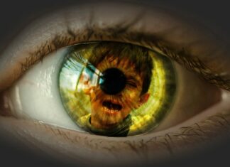 KAD ODRASLI OKRENU GLAVU, DJECA PLATE NAJSKUPLJU CIJENU – Slučaj strave u Tuzli Foto: Alexas_Fotos (Pixabay)